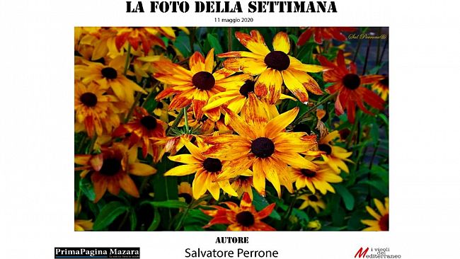Mazara, contest “La foto della settimana”: ecco lo scatto vincente