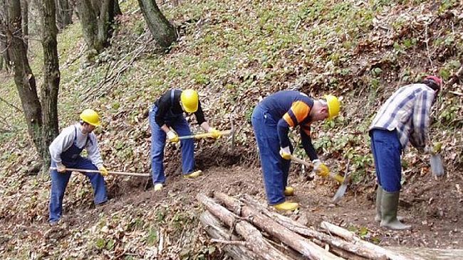 Forestali. Che dire, che fare, c’è solo da imprecare