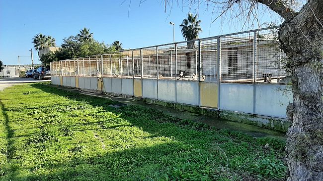 Marsala, si punta a migliorare la struttura adibita a Canile municipale