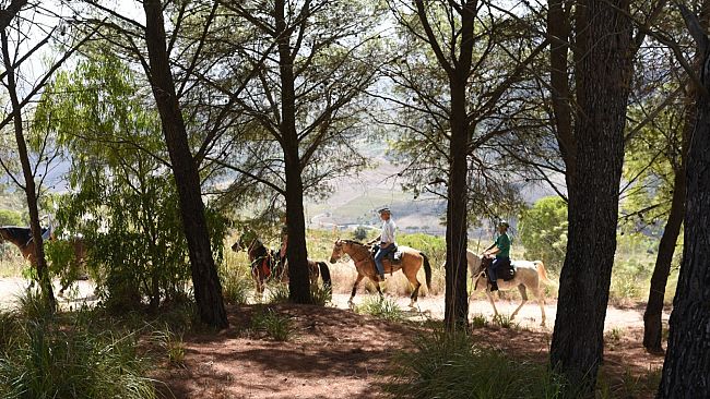 Terza edizione del Raduno Equestre. Appuntamento per gli amanti della natura e del turismo a cavallo