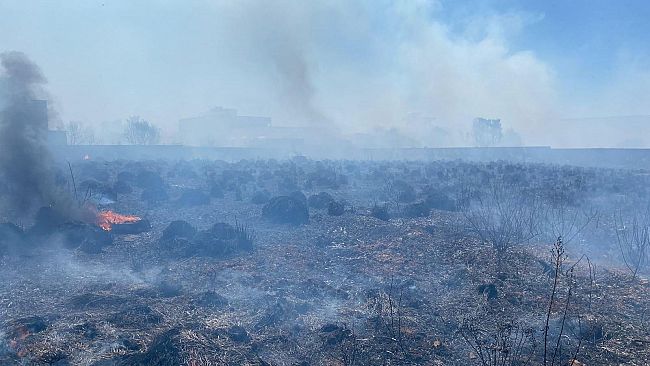 Mazara, vasto incendio in c/da Boccarena. Danneggiate alcune case