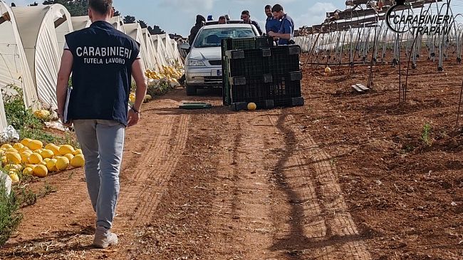 Servizio straordinario in agricoltura sul caporalato e lavoro sommerso a Trapani e provincia  