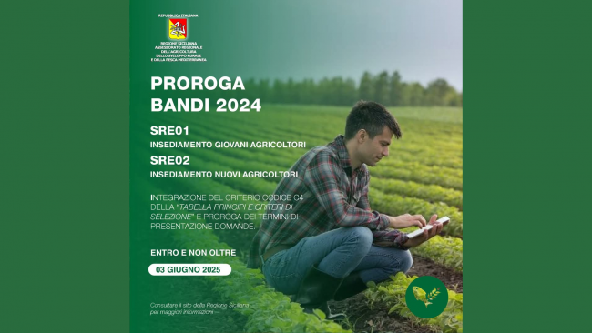 Pantelleria, prorogato il bando 