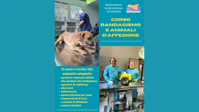 ASP Trapani, disposta la proroga delle iscrizioni per il corso di formazione su “randagismo e animali d’affezione
