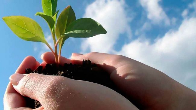 Castelvetrano, uno sportello per il collocamento e contro il caporalato in agricoltura