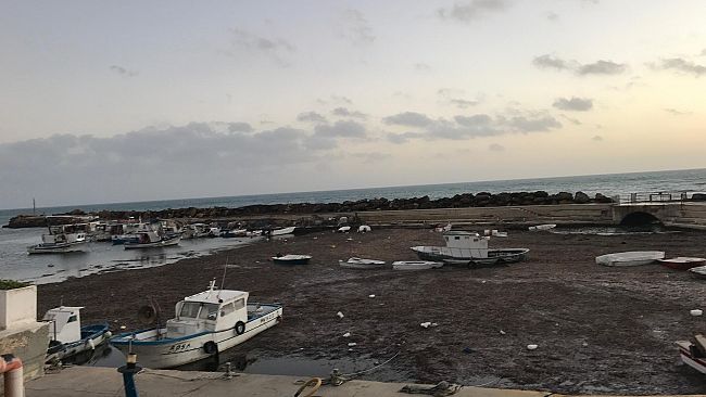 Alghe nel porticciolo di Marinella. Il M5S presenta un’interrogazione urgente