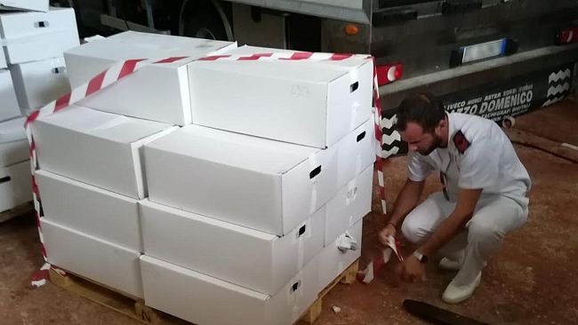 Mazara: Attività di controllo lungo la filiera della pesca A tutela del consumatore finale