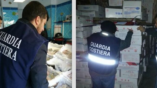 Guardia Costiera di Trapani: operazione sulla filiera della pesca“Confine Illegale”