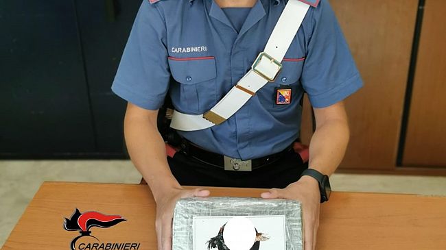 Fermato dai Carabinieri un uomo che portava con se 1 Kg di cocaina 