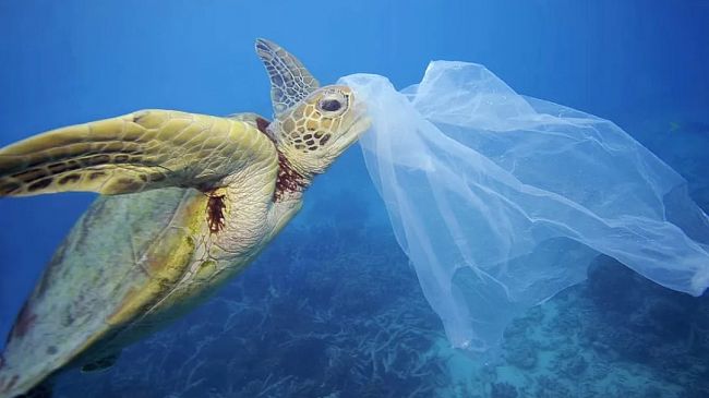 “Salva mare”. La Uil Trapani ne auspica il recepimento dalla Regione Sicilia