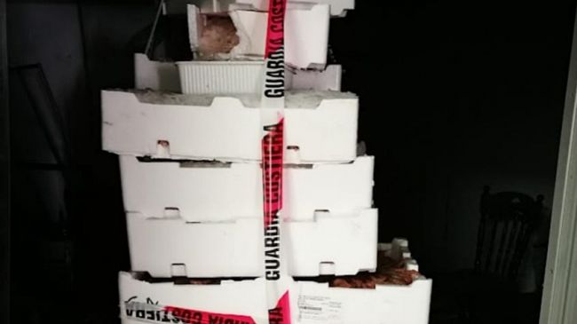 Mazara, la Guardia Costiera sequestra 170 kg di prodotto ittico non a norma