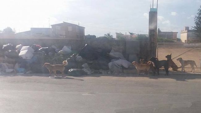 Anche Legambiente Mazara interviene sulla situazione rifiuti