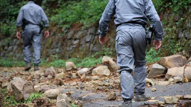 Settore Forestale. Le parole stanno a mille ma i fatti stanno a zero!