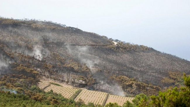 Incendio devastante di Pantelleria, il grido di dolore dei giovani panteschi.
