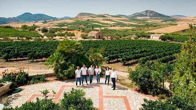 Sei medaglie d’oro ed una d’argento: i vini dell’azienda Magaddino collezionano riconoscimenti