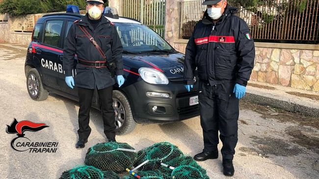 Trapani, sanzionati due uomini trovati con oltre 300 ricci di mare in macchina