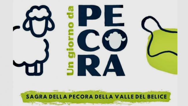 Santa Ninfa, domenica torna la sagra della pecora della Valle del Belice
