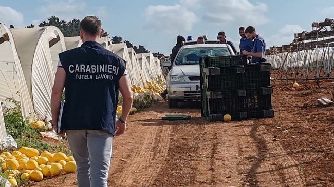 ​Trapani. Controlli nel settore edile e agricolo: denunciati sette imprenditori, sospesa un’attività