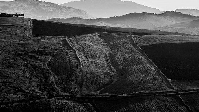 Ultime della sera: “Gli Iblei”