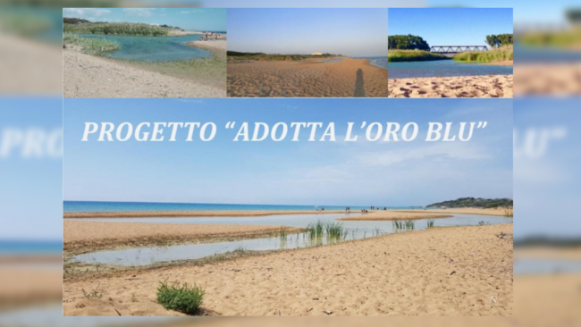 Il Rotary Club Partanna promuove una giornata di pulizia lungo la costa da Selinunte alla foce del Belice