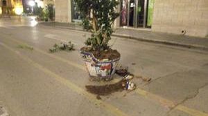 Rotti tre vasi in ceramica nel corso Umberto I. Cristaldi: “una pratica incivile”