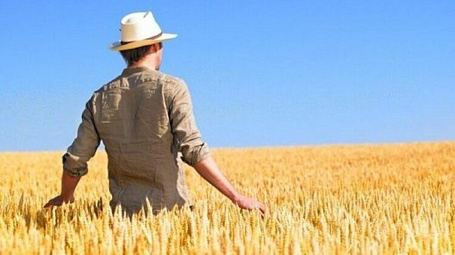 Mobilitazione degli agricoltori contro il caro canoni irrigui