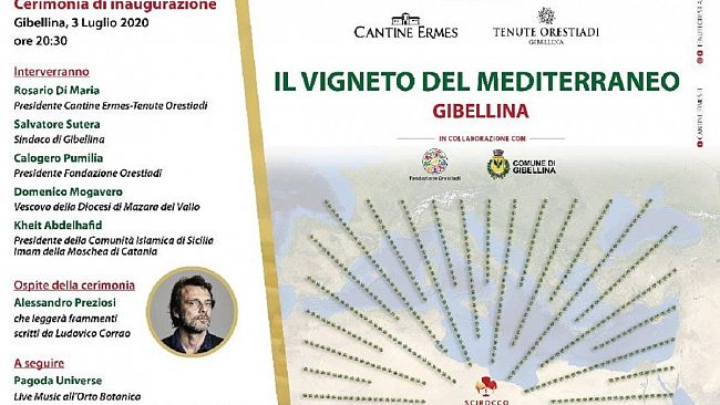 Gibellina. Verrà inaugurato venerdì il Vigneto del Mediterraneo, progetto di Tenute Orestiadi – Cantine Ermes