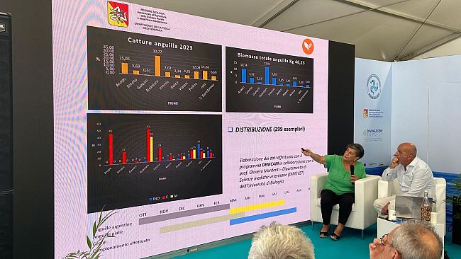 Il Blue Sea Land al G7 di Siracusa, incontri su sinergie, opportunità e la sostenibilità’ dell’acquacoltura