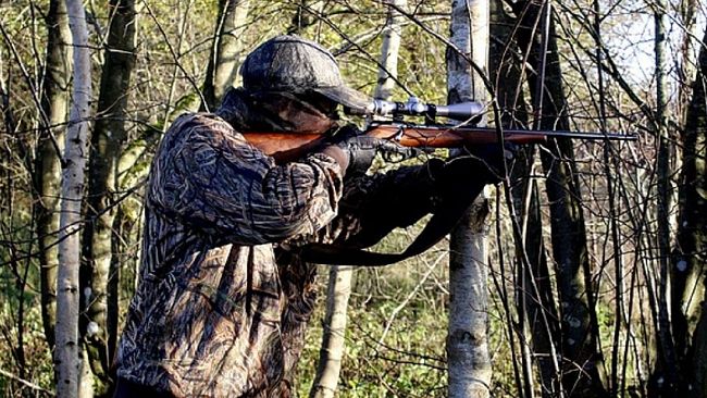 L'OIPA chiede a Musumeci di sospendere la stagione venatoria