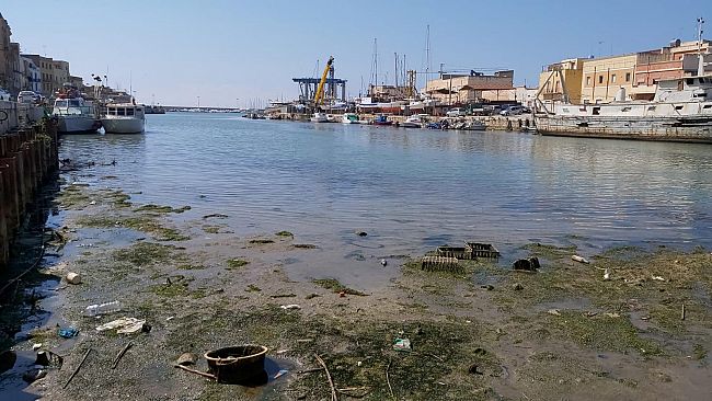 Dragaggio porto, Misuraca replica a Corrao sulla “laguna” di Tonnarella