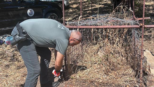Apertura della caccia, controlli della Polizia Metropolitana: sequestrata una gabbia per cinghiali nel messinese 