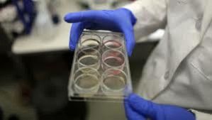 TRAPANI – Stamina: effettuata infusione su un bambino di Trapani