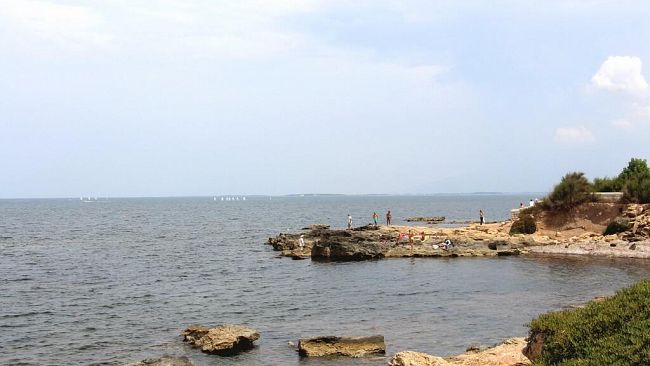 Marsala – presenza di alghe tossiche a Capo Boeo. Le raccomandazioni per i bagnanti