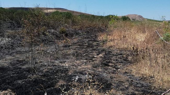 Salemi, a fuoco contrada Torretta. Vigili del fuoco  impegnati per ore