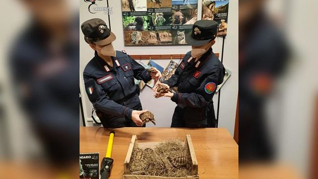 Traffico di animali in via di estinzione. 23 persone denunciate