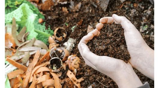 Rifiuti, pubblicati due avvisi da 48 milioni per compostaggio e Ccr