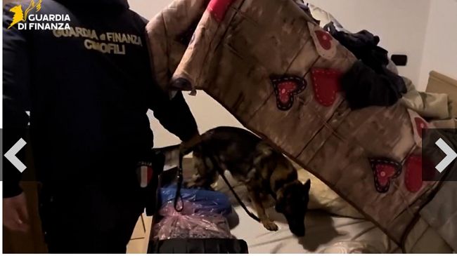 Operazione antimafia tra Catania e Siracusa: 25 misure cautelari e sequestri per 5,5 milioni