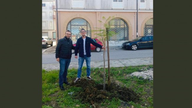 Santa Ninfa, Giuseppe Grimaldi dona e pianta un albero per ricordare suo padre 
