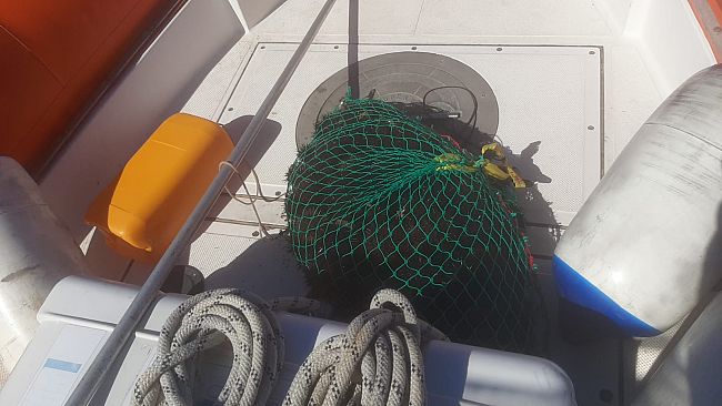 Ricci di mare pescati in zona vietata nell’area marina protetta delle Egadi. Sequestro della Capitaneria di porto