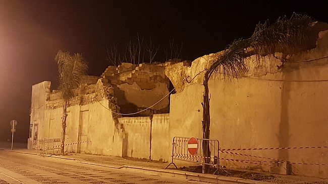 Mazara, Via San Giovanni: due palme cocos al posto delle eritrine tagliate  