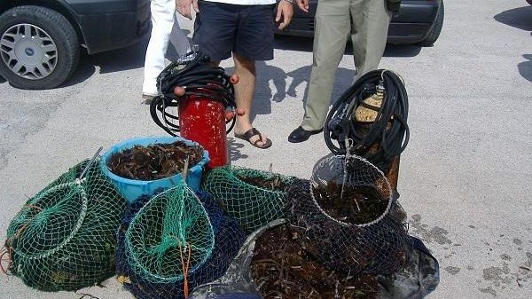 Mazara, Capo Feto, pesca abusiva del Riccio di Mare: scattano sanzioni e sequestri