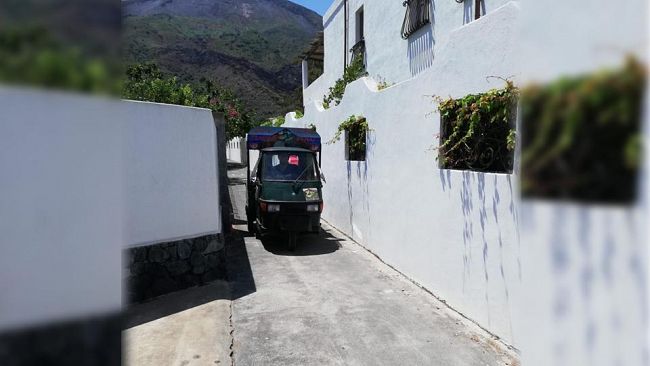 Ultime della sera: “Iddu, idda e le specie dominanti”