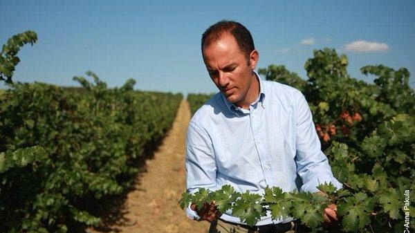 Antonio Rallo presidente dell’Unione Italiana Vini