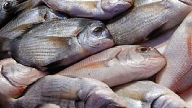 Trapani, pesce privo di tracciabilità. Scattano multe e sequestri