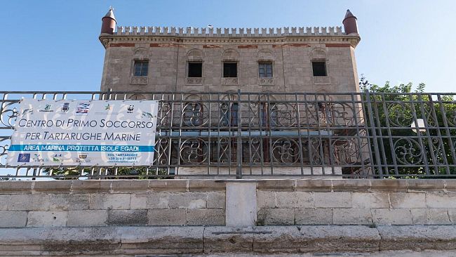 Assegnati i locali all’AMP per realizzare il Centro recupero tartarughe nell’ex Stabilimento Florio della tonnara