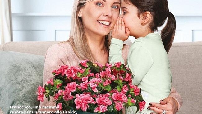 Castelvetrano, l'Airc proporrà l'Azalea della Ricerca per la festa della mamma