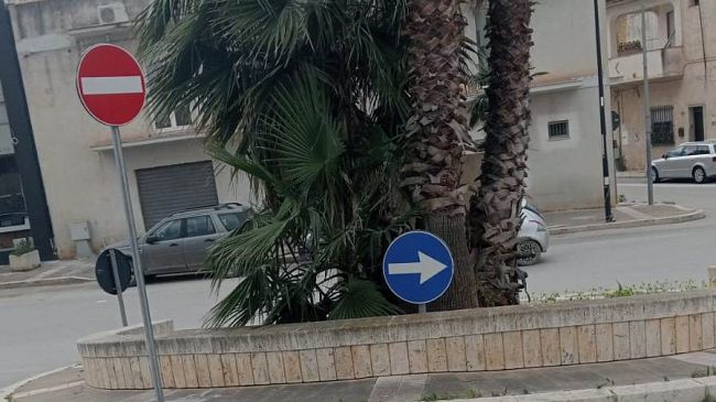 Mazara, assessore Bommarito: “qualcuno ha girato un cartello nella rotatoria”