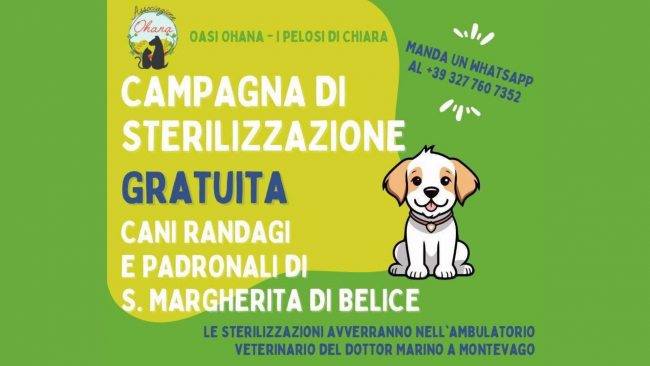 Oasi Ohana dona 5.000 euro a Santa Margherita di Belìce per sterilizzazioni gratuite e lotta al randagismo