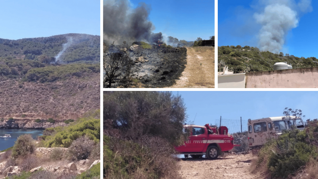 Incendio nei pressi della pineta di Levanzo. Le dichiarazioni del sindaco Forgione