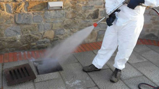 Mazara, da stasera terzo ciclo di derattizzazione del territorio